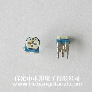 101卧式蓝白可调电阻100欧
