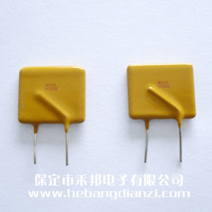 自恢复保险丝250V 2A