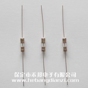 带引线3.6*10mm 1A 慢熔