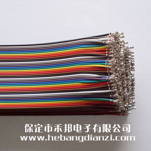 XH线80cm