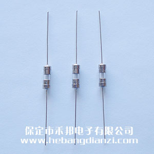带引线保(bǎo)险3.6*10mm 5A 快熔