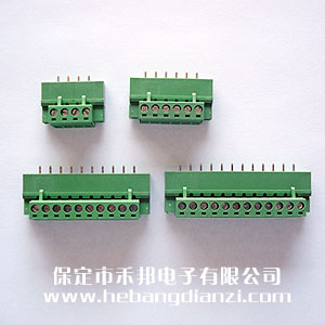 立式插拔带固定孔-2P,3P,4P,6P,7P,8P,9P,10P,11P,12P,14P,15P,16P,18P,20P,22P,24P