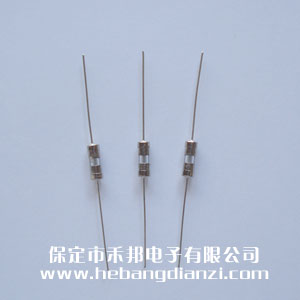 带引线(xiàn)保险(xiǎn)3.6*10mm 0.5A 慢熔