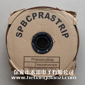 彩排线40P(粗)